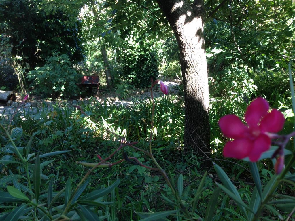 Cascina Folletto Villa Novi Ligure Kültér fotó