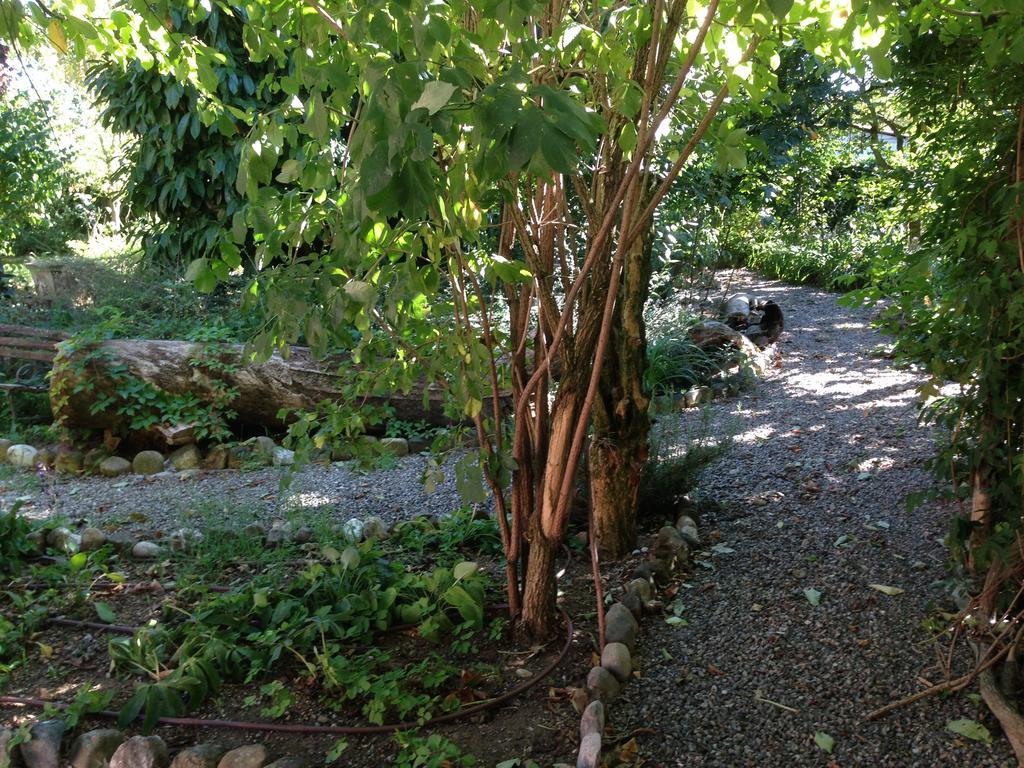 Cascina Folletto Villa Novi Ligure Kültér fotó