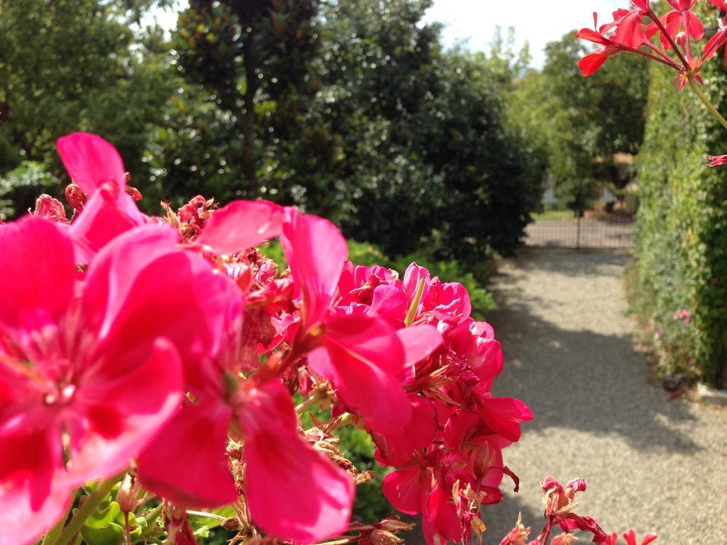 Cascina Folletto Villa Novi Ligure Kültér fotó